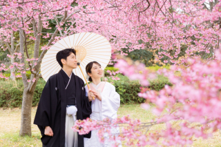 桜 &times; 和装