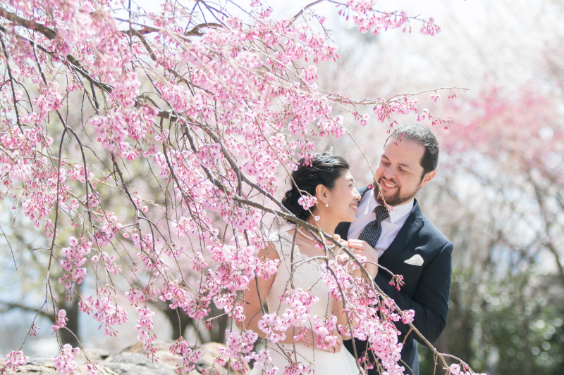 桜と!