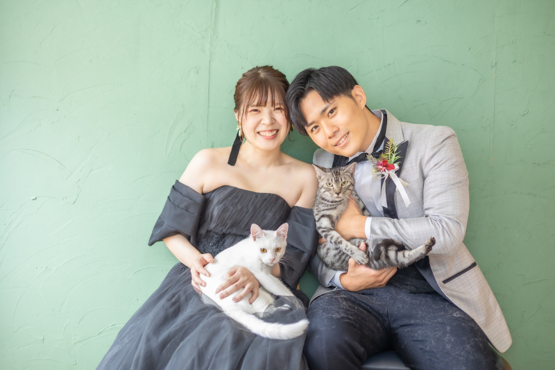 愛猫2匹とスタジオ撮影