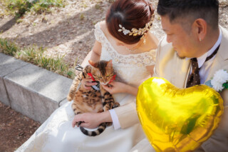 猫ちゃんとおふたりの空間