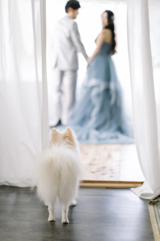 一生に一度を、大切な家族と。