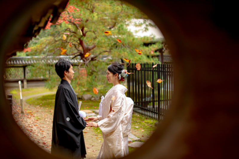 どこからのぞいているのでしょうか。