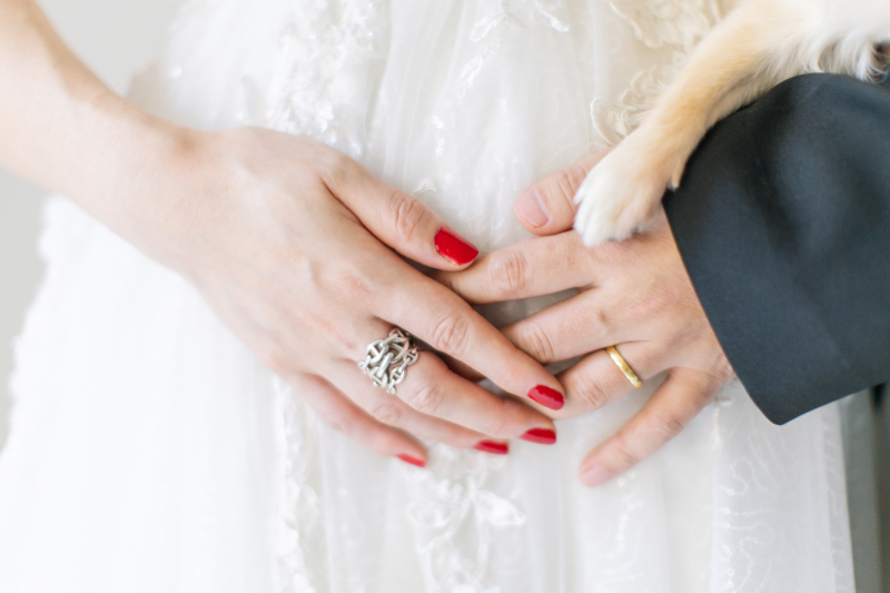 愛犬 × マタニティフォト