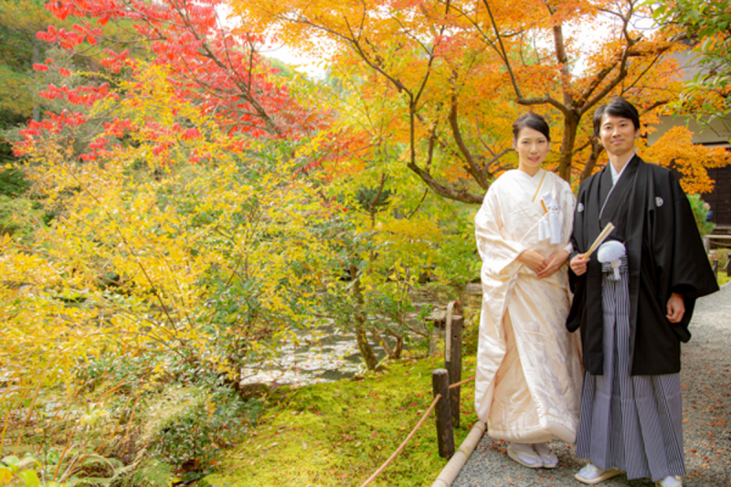 【金地院・巽橋】京都の観光地をご満喫♪