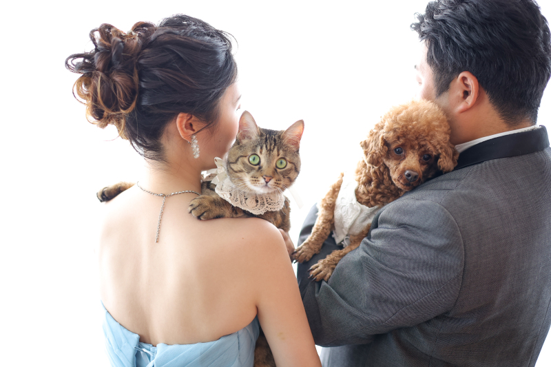 みんなで仲良く