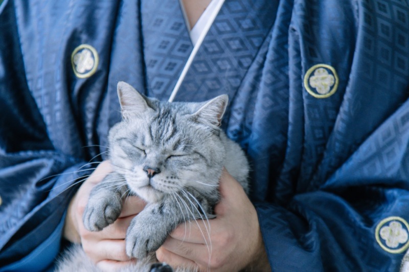 スタジオ × 和装 × 猫