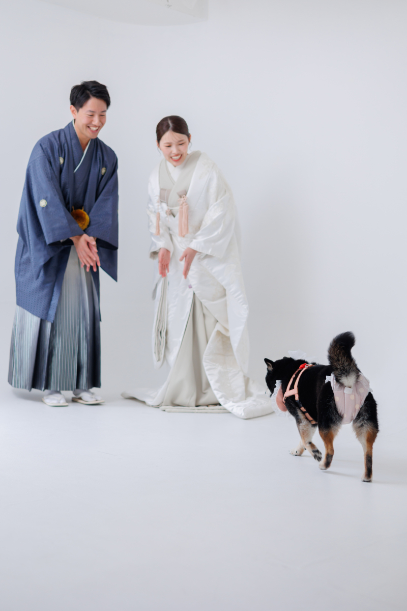 off shot