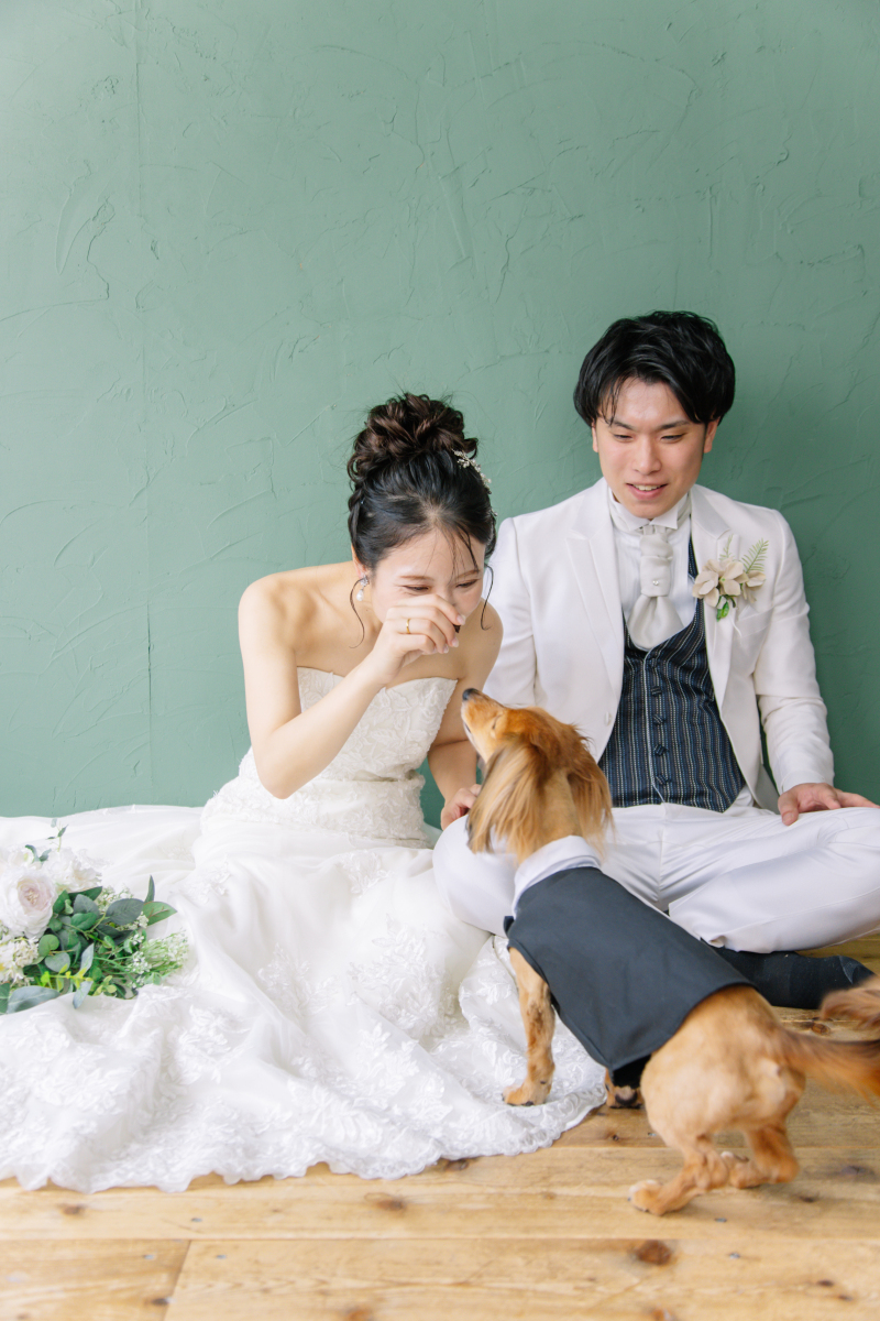 スタジオでワンちゃんと