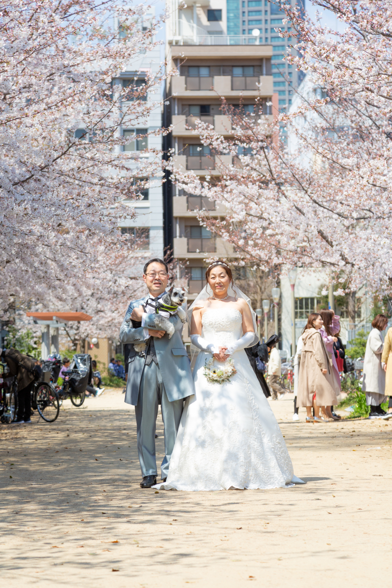 桜が満開!