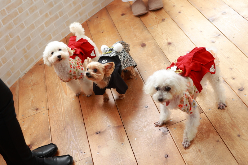 今日はみんなでおめかし♪