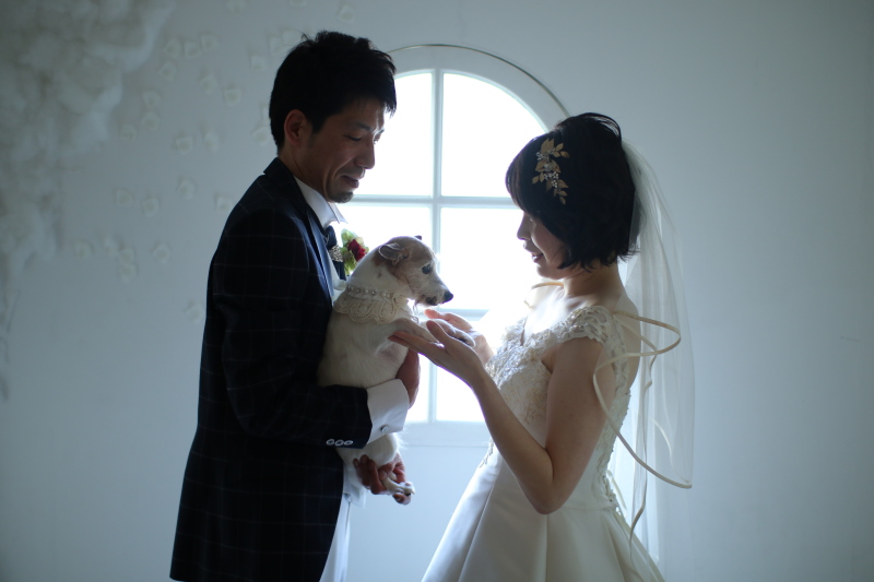 窓からの光を利用して