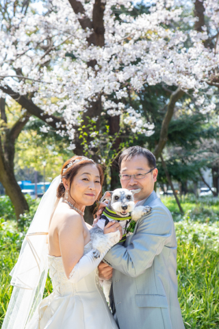 洋装ロケーション