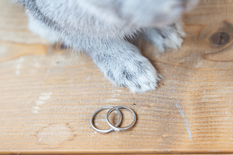 指輪とうさちゃん♡