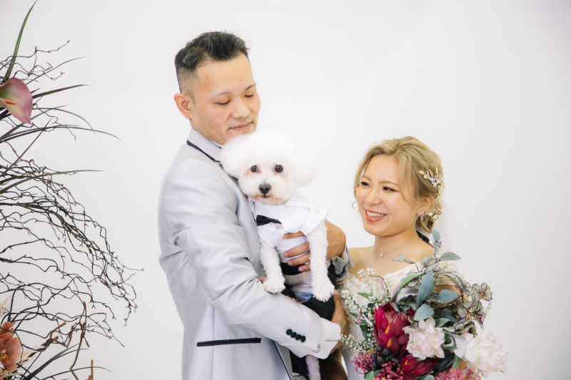 スタジオ × ワンちゃん