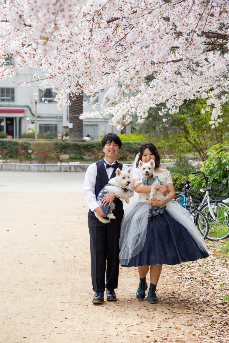 人気の桜ロケーション!