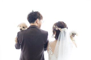 愛犬と和装&洋装