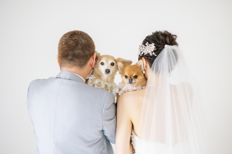 ワンちゃんも一緒に