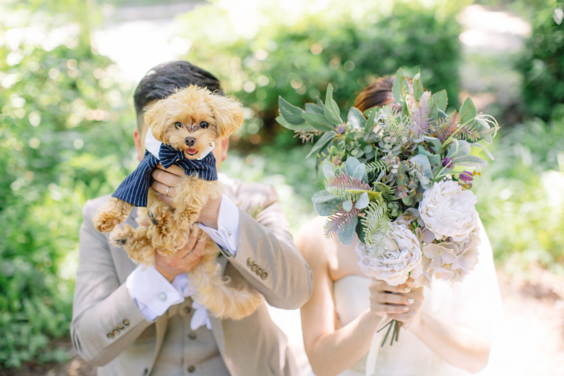 靱公園 × ワンちゃん