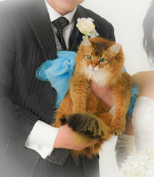 青いドレスでおめかし