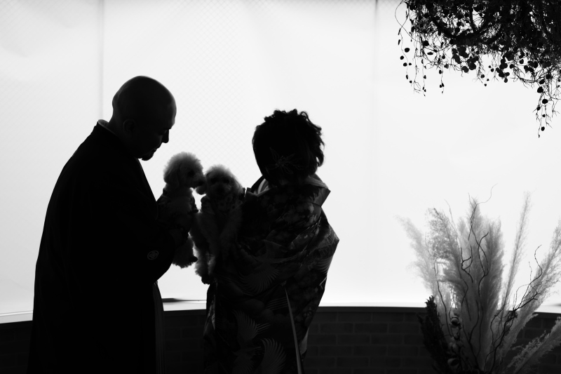 こんなショットも！