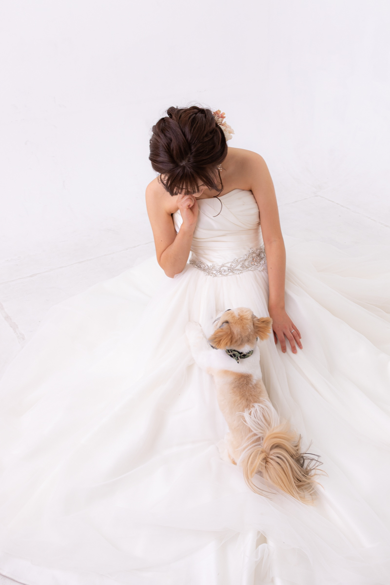 ご新婦様とワンちゃんと。