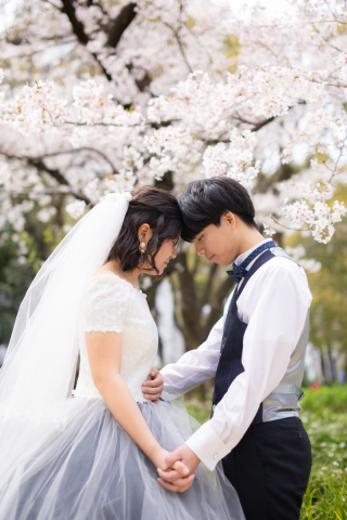 桜満開の中の洋装ロケーション