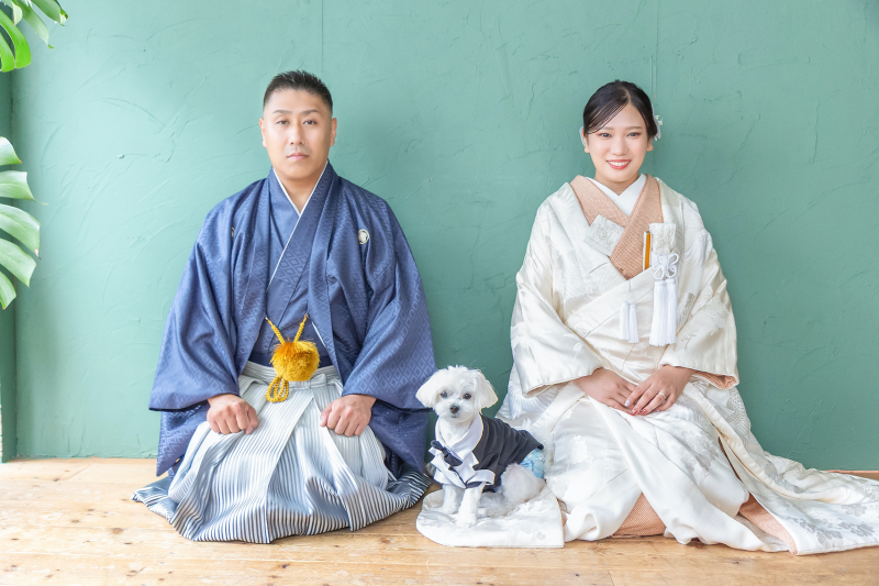愛犬と和装でスタジオ撮影
