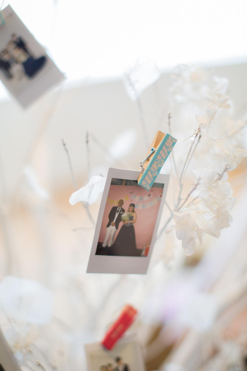 パーティプラン(撮影編)