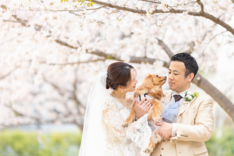 ワンちゃん × 桜