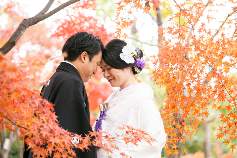 【ベストな時期に!】紅葉撮影