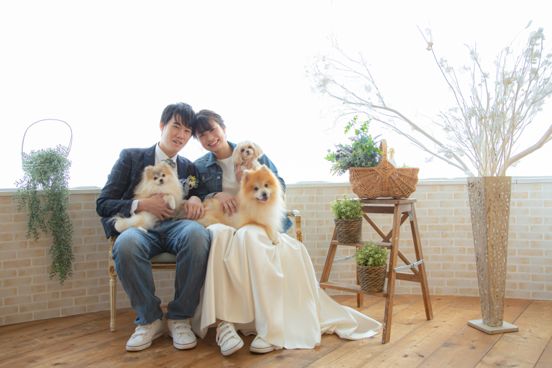 3匹のワンちゃん!