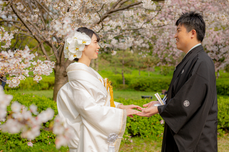 白無垢が桜にぴったり!