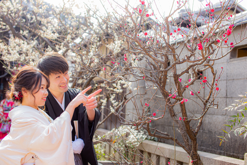 咲き始めていますね!