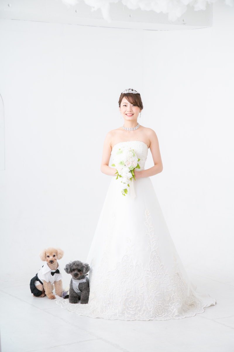 可愛いわんちゃん達と