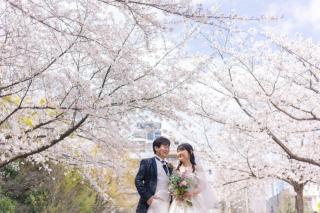 洋装 &times; 桜ロケーション