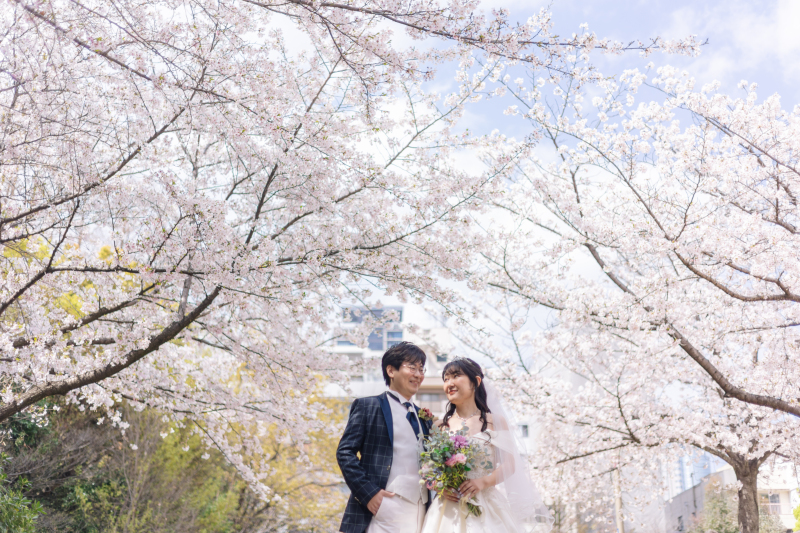 洋装 &times; 桜ロケーション