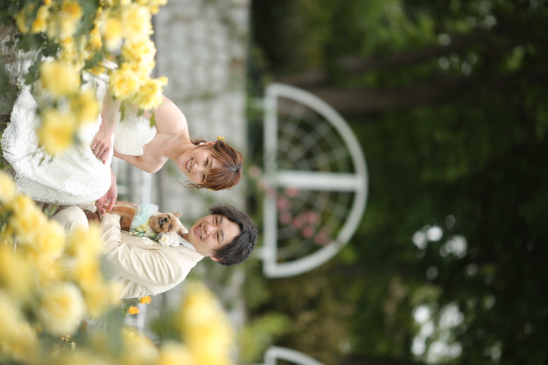 黄色いバラで華やかに