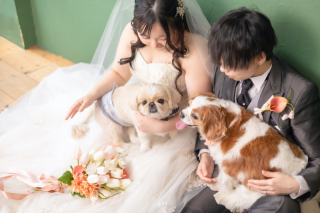 ワンちゃんと大切な1日を