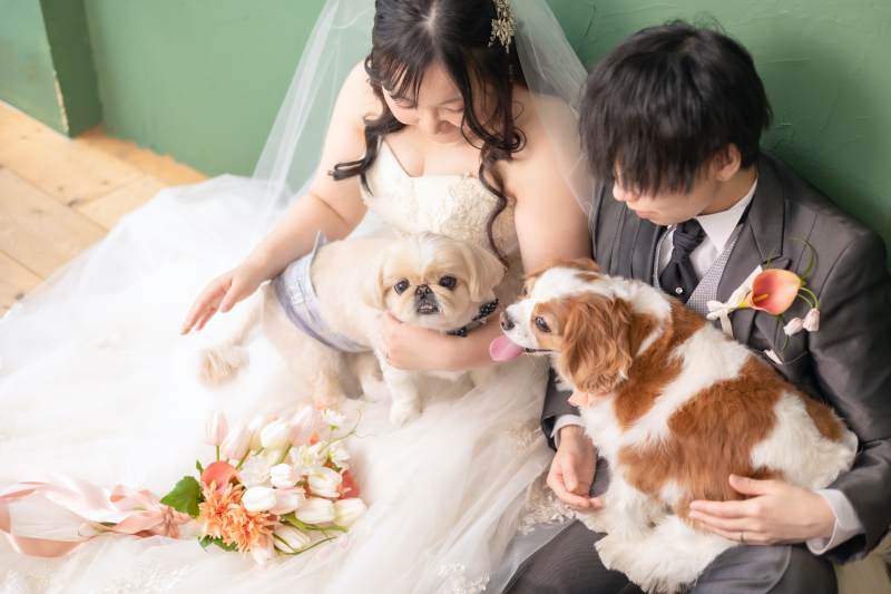 ワンちゃんと大切な1日を