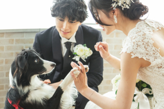 1日2組の完全貸切だから周囲を気にせずペットと撮影