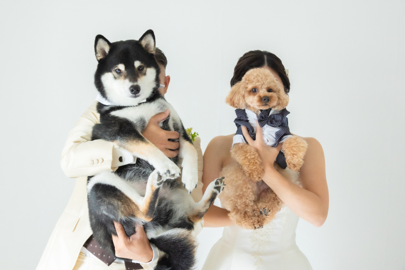 阿部写真館　大阪本町靭公園前店_ペットと一緒に撮影できる