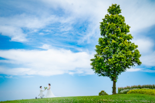 阿部写真館　大阪本町靭公園前店_第二弾をご覧ください！