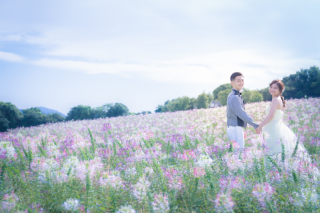 阿部写真館　大阪本町靭公園前店_第二弾をご覧ください！