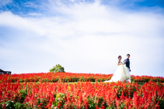 阿部写真館　大阪本町靭公園前店_第二弾をご覧ください！