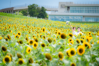 阿部写真館　大阪本町靭公園前店_第二弾をご覧ください！