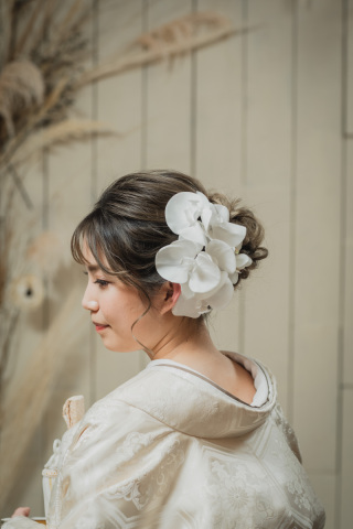 ヘアード：胡蝶蘭