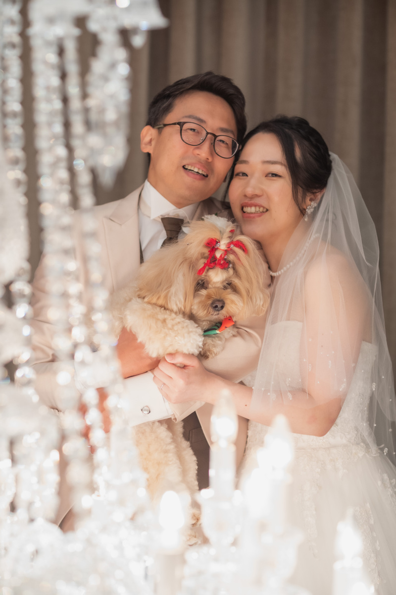 シャンデリア越しのショット