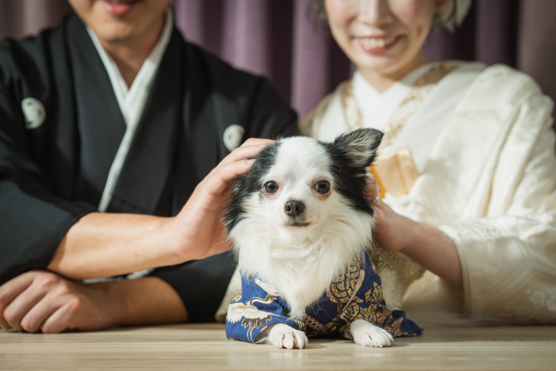 ワンちゃんソロショット♡