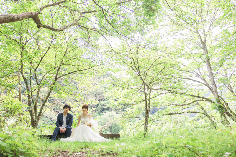 自然のスポットライト