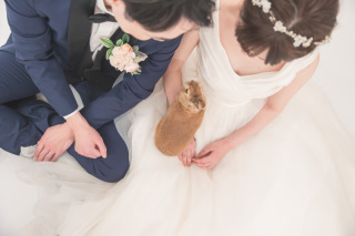 大切なペットと一緒に。゜○